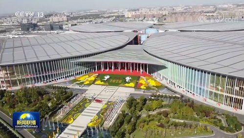 上海 勇?lián)率姑?dāng)好新材料技術(shù)開發(fā)的排頭兵